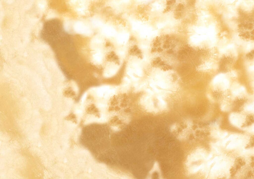 Alabastro Egiziano Fiorito